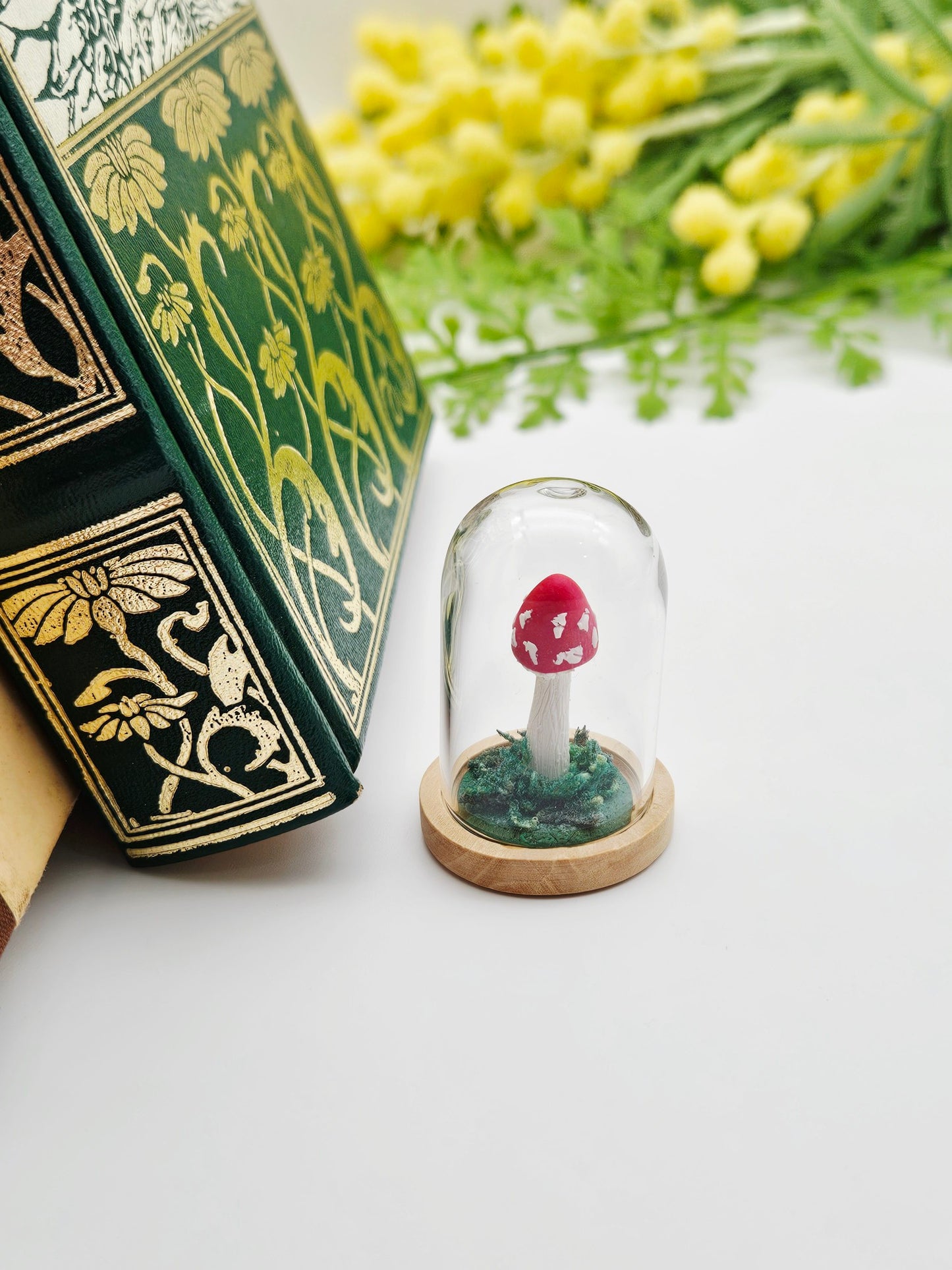 Mini mushroom under glass