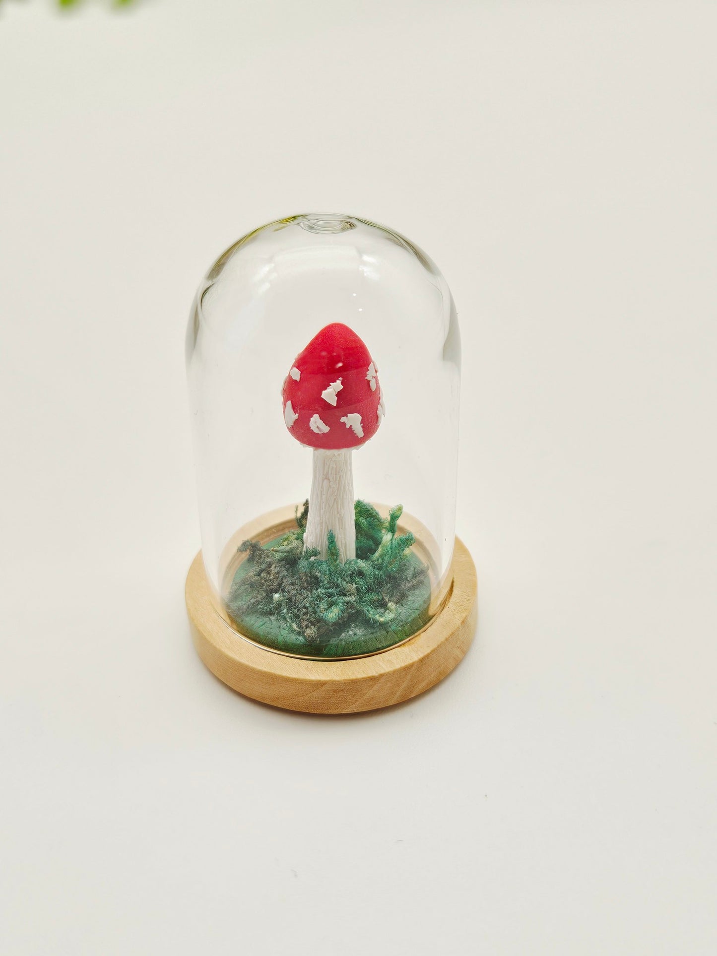 Mini mushroom under glass