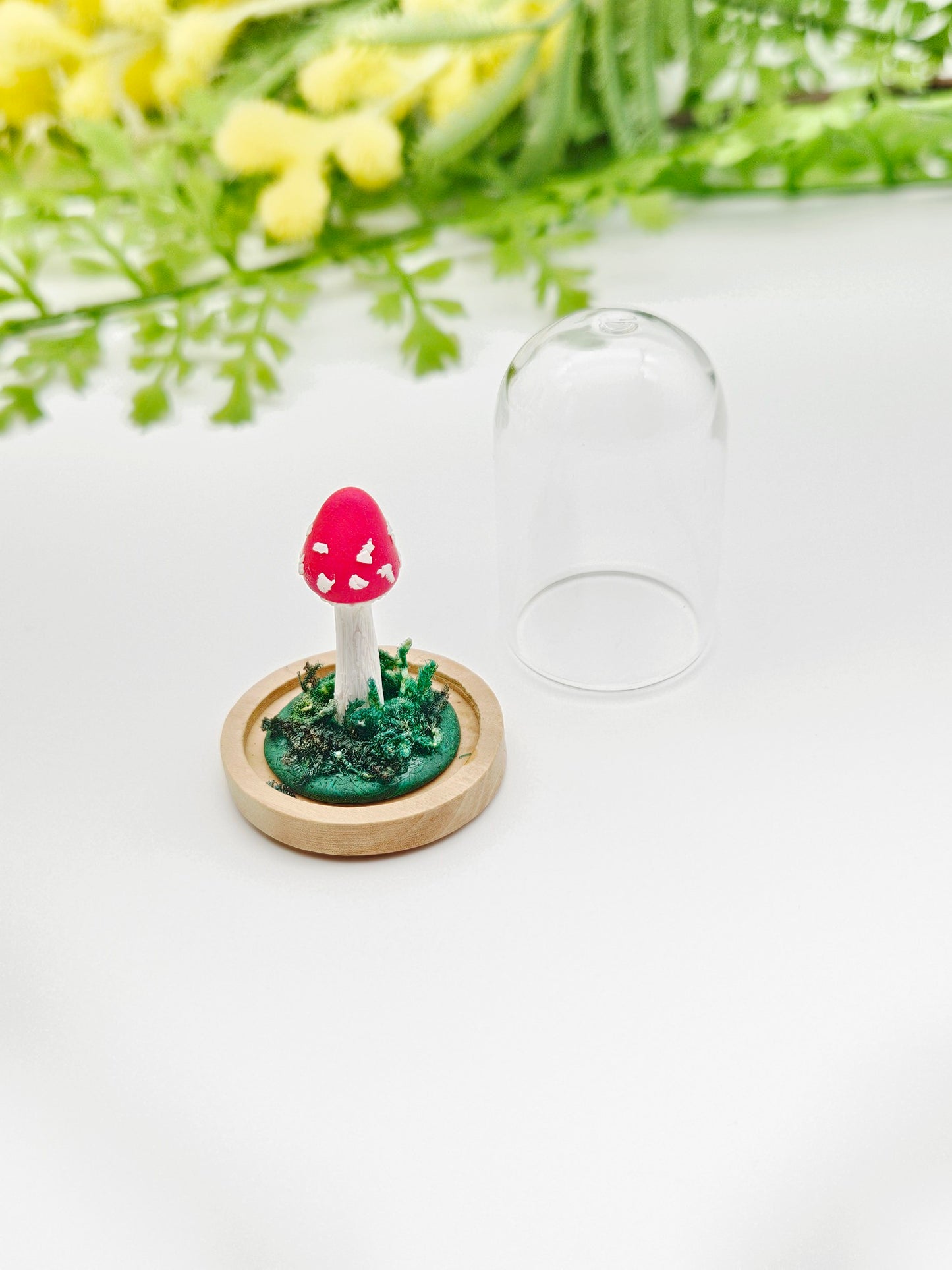 Mini mushroom under glass