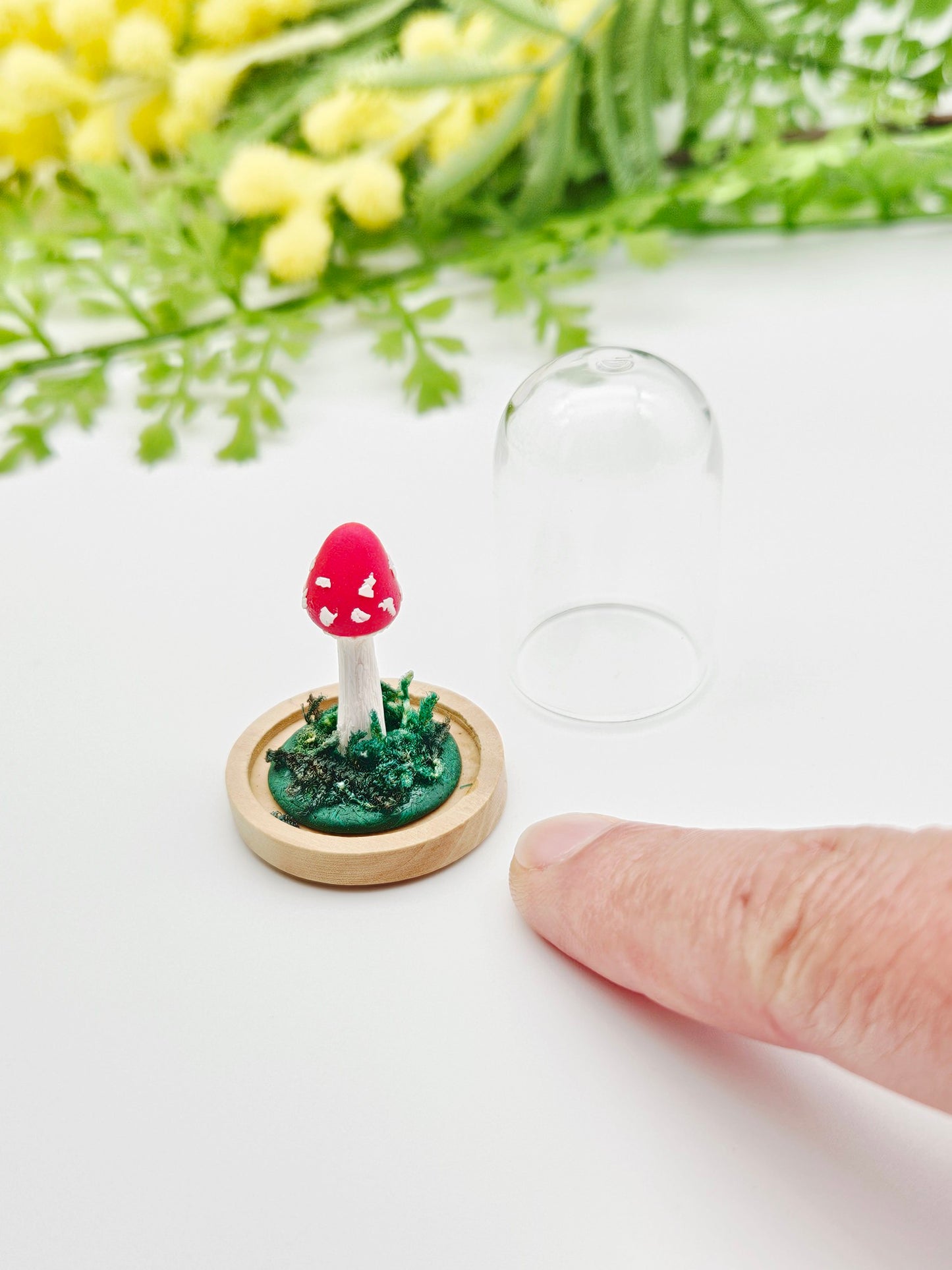 Mini mushroom under glass