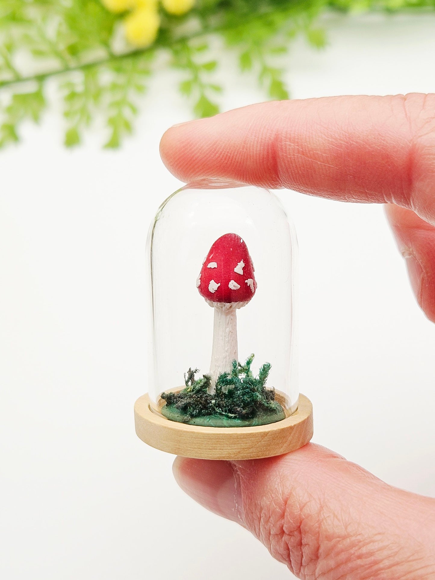Mini mushroom under glass