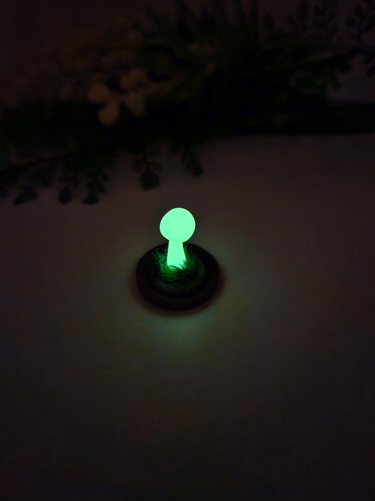 Glow in the dark mushroom with glass cloche