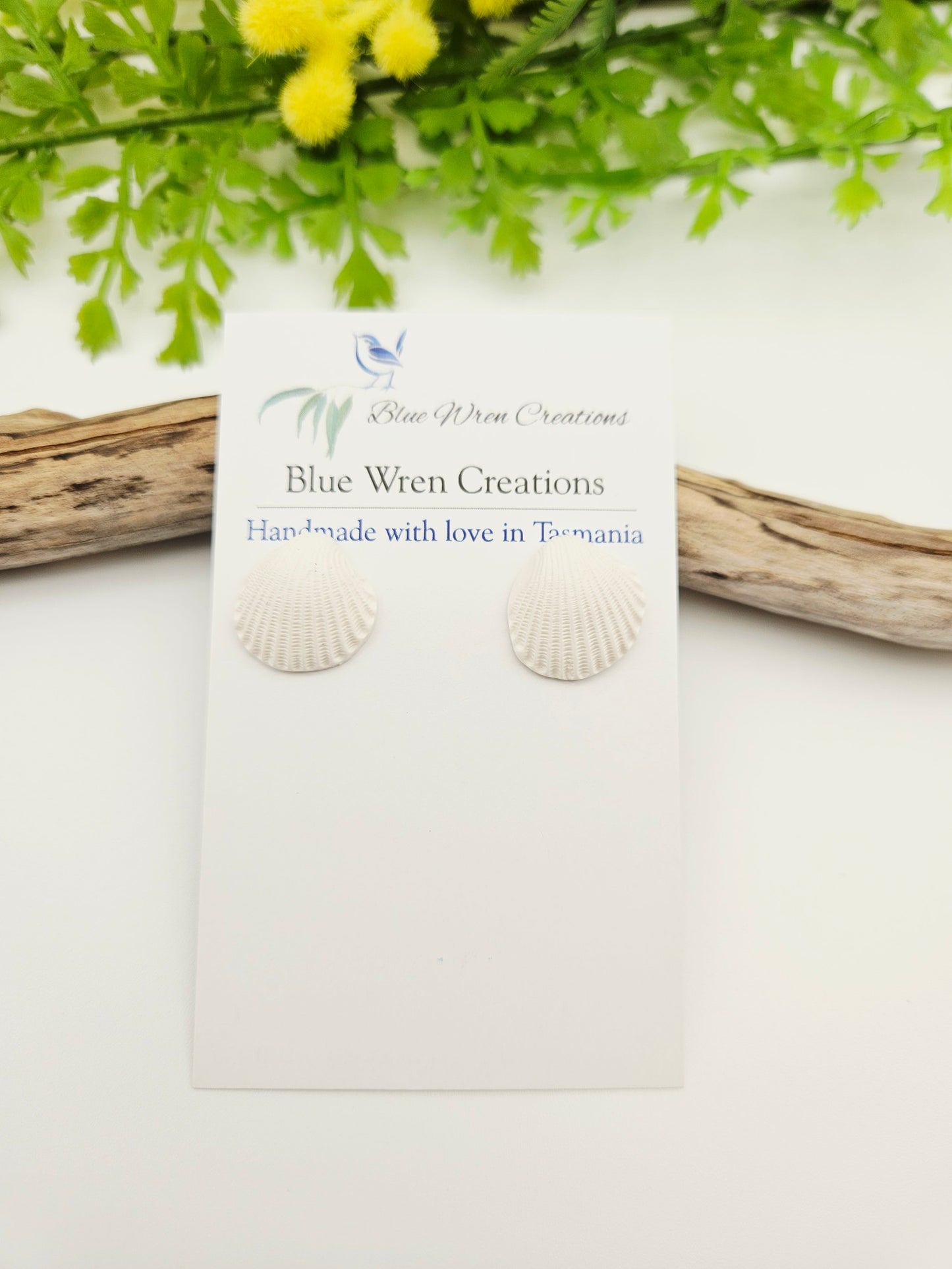 Earring studs - white cockle shells