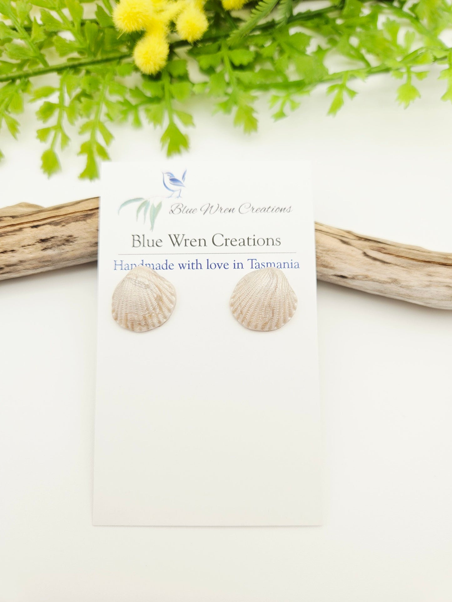 Earring studs - pearl cockle shells