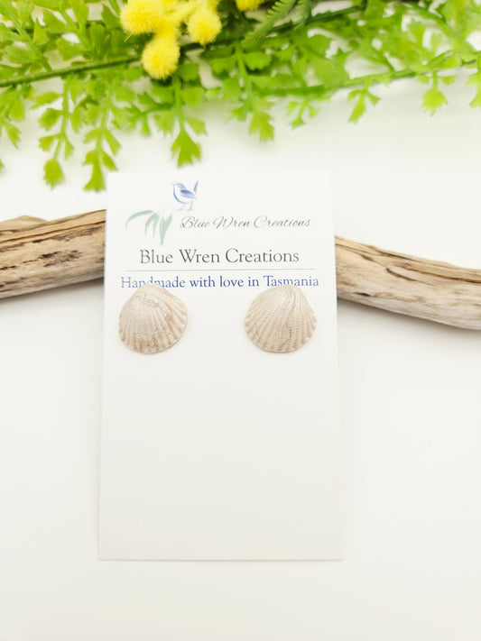 Earring studs - pearl cockle shells