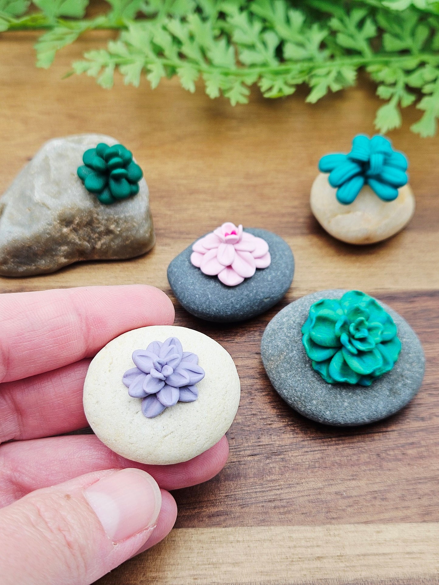 Workshop - miniature plants - 28/6/26