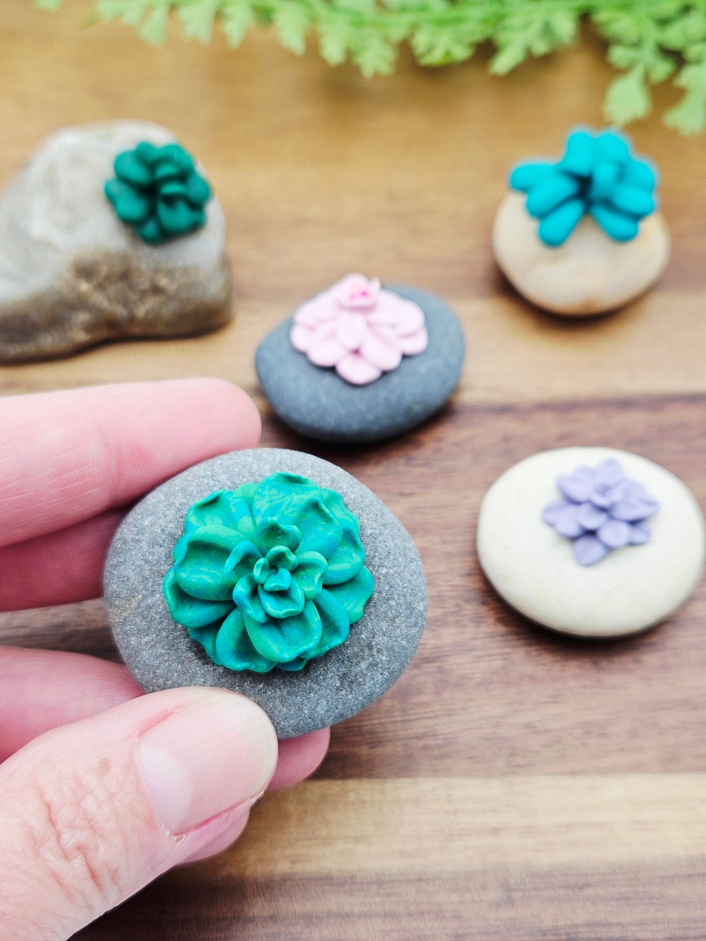 Workshop - miniature plants - 28/6/26
