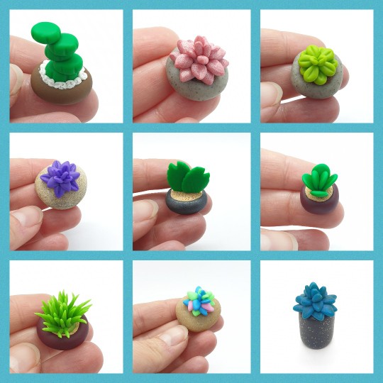 Workshop - miniature plants - 28/6/26