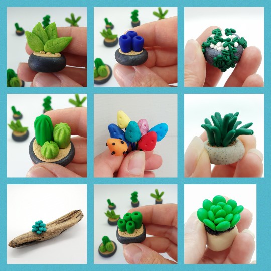 Workshop - miniature plants - 28/6/26