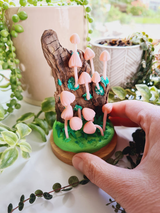 Miniature pink mushrooms sculpture growing out of a piece of driftwood. Surrounded by moss and ferns with a glass cloche bell jar cover. Hand made from polymer clay
