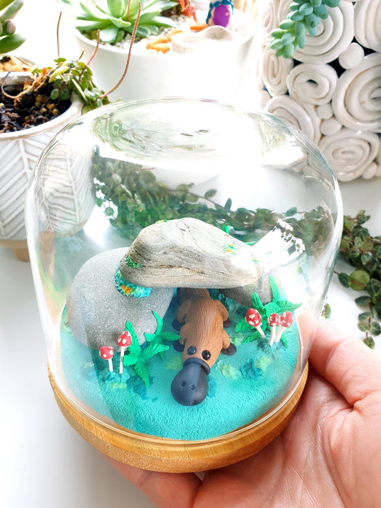 Polymer clay miniature platypus sculpture in a glass cloche. Hand made with incredible detail. Adorable, cute Australian native platypus animal sculpture with real rocks surrounded by sculpted ferns, mushrooms and plants