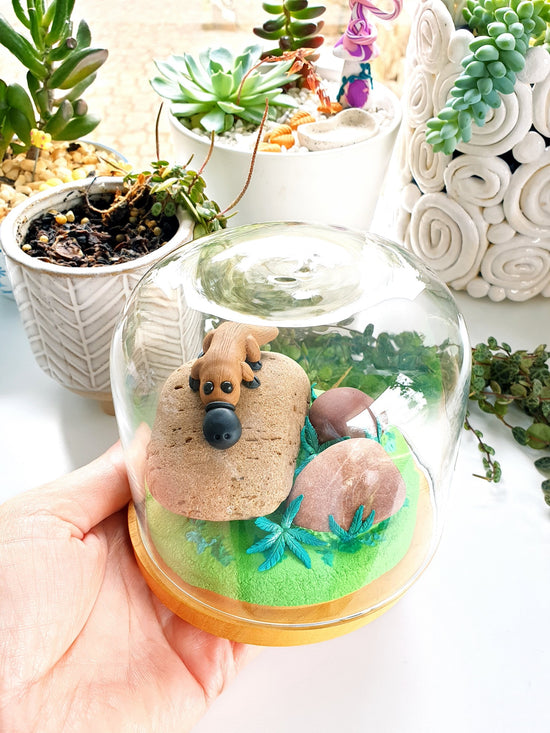 Polymer clay miniature platypus sculpture in glass cloche. Hand made with incredible detail. Adorable, cute Australian native platypus animal sculpture with real rocks surrounded by sculpted ferns and plants.