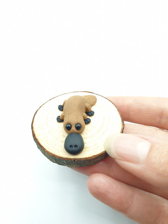 Polymer clay miniature platypus sculpture. Hand made with incredible detail. Adorable, cute Australian native platypus animal sculpture on a real piece of round timber