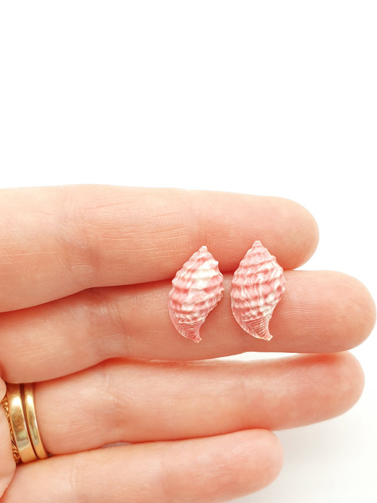 Earring studs - pink & white scotch bonnet shells