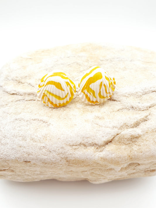 Earring studs - yellow & white cockle shells
